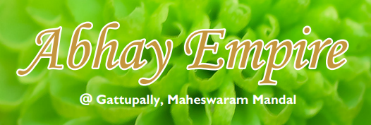 anandanilayam-developers-anandanilayam-abhay-empire-logo
