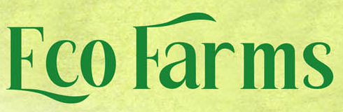 bhoomi-space-groups-eco-farms-logo