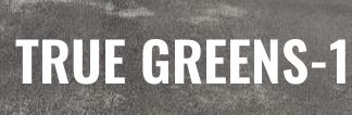 building-blocks-group-bbg-true-greens-1-logo