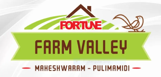 fortune-99-homes-fortune-99-homes-fortune-farm-valley-logo
