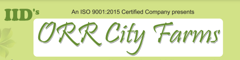 indo-infra-developers-private-limited-orr-city-farms-logo