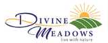 landmark-group-divine-meadows-logo