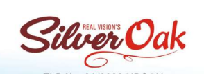real-vision-infra-projects-pvt-ltd-silver-oak-logo