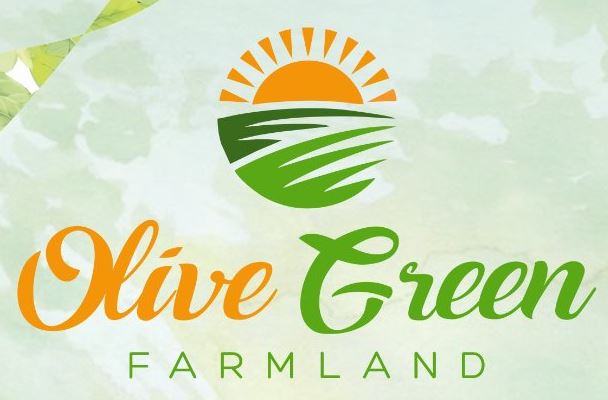 v-square-infra-v-square-infra-olive-green-farm-land-logo